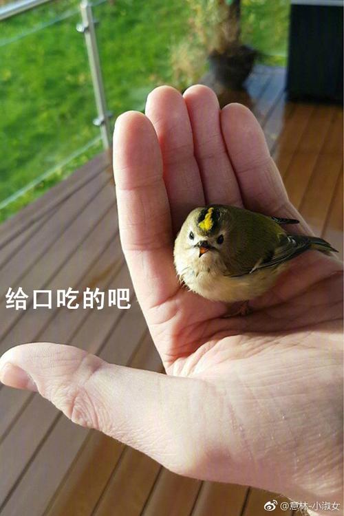 假的！事关甲流！多地警方紧急提醒