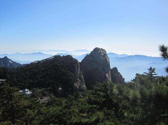 上海野生动物园游玩攻略（上海野生动物园旅游）