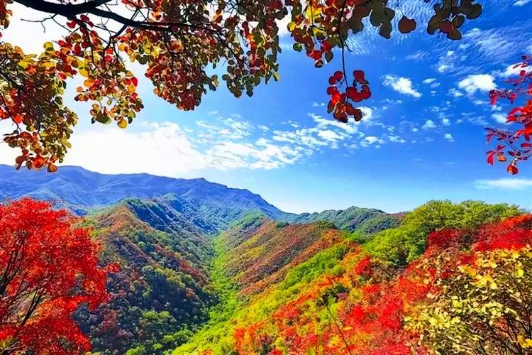 湖北武汉免费景点排名一览表(武汉十大免费景点)