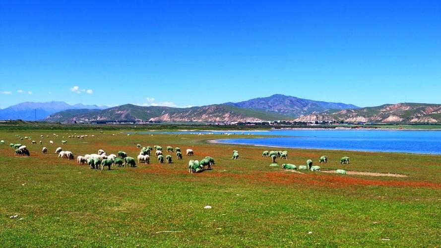兴义景点排名哪家价格便宜(兴义周边好玩的旅游景点推荐)