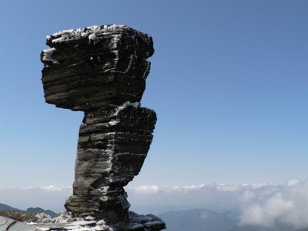 南京红山森林动物园（南京红山森林动物园学生票怎么买）