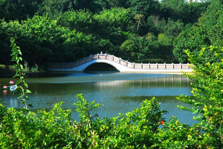 上海普陀区景点排名榜(上海普陀区好玩的地方排名)