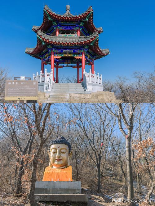 上海豪华邮轮（上海豪华邮轮游100天价格）