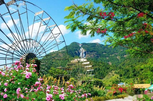 舒兰凤凰山门票(舒兰市凤凰山景区需不需要门票)