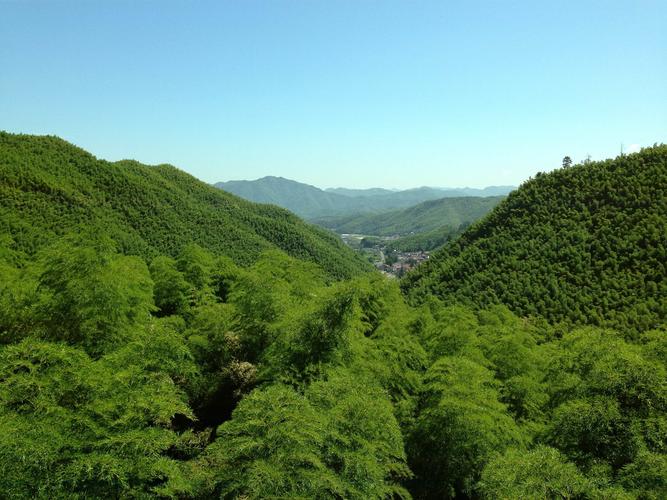 厦门机票预定（厦门订机票电话号码是多少）