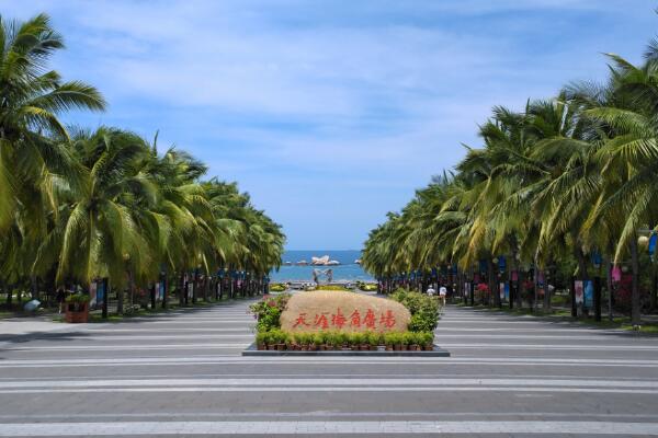 福州寿山石（福州寿山石雕刻大师）